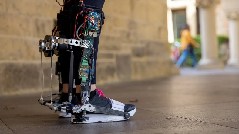 Wearable robotic leg exoskeleton for everyday mobility